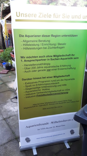 Aushang Aquarienfreunde